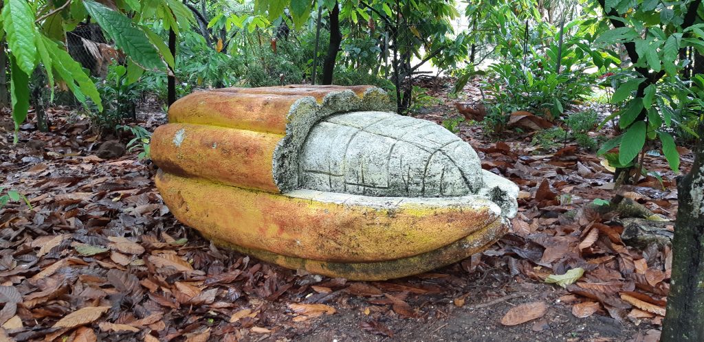Scuplture de Cacao