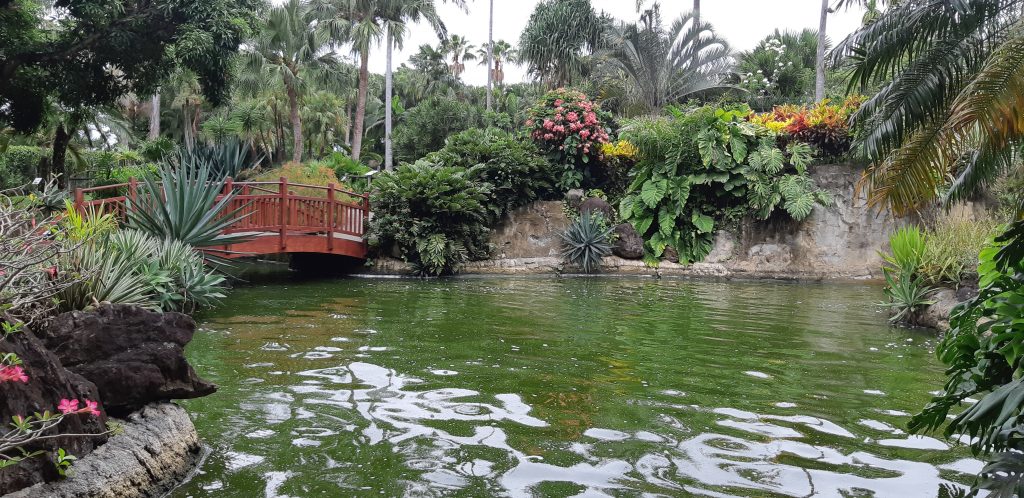Le jardin botanique de Deshaies en Guadeloupe