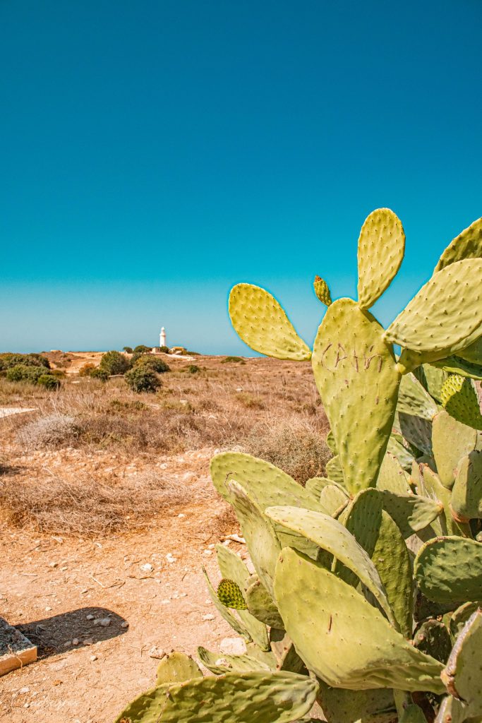 Paphos, Chypre