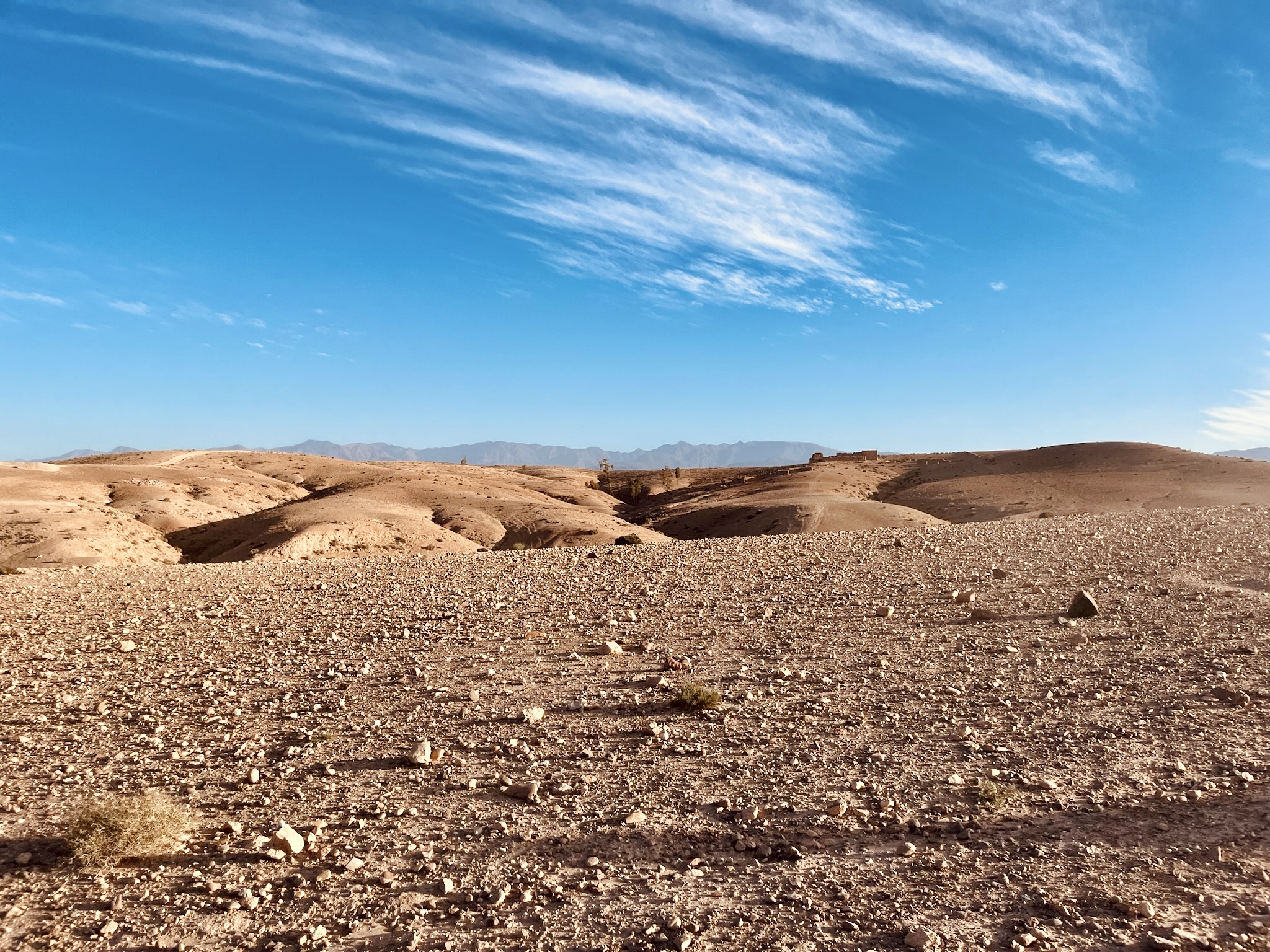 vue depuis le désert d'Agafay avec les montagnes de l'Atlas au loin