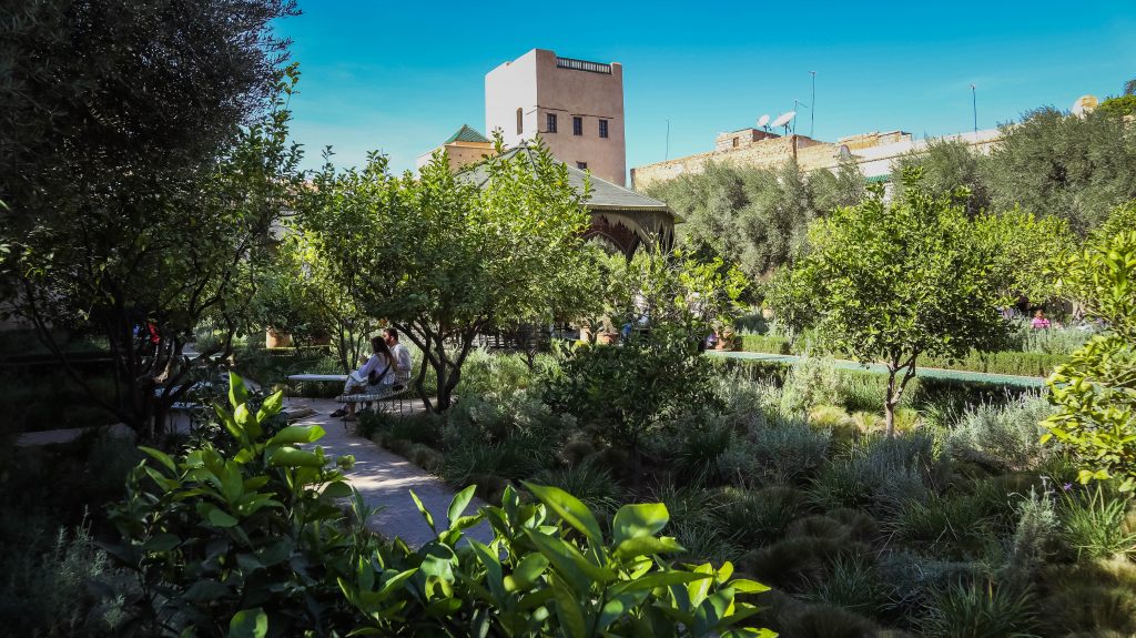 Plantes du jardin secret de Marrakech