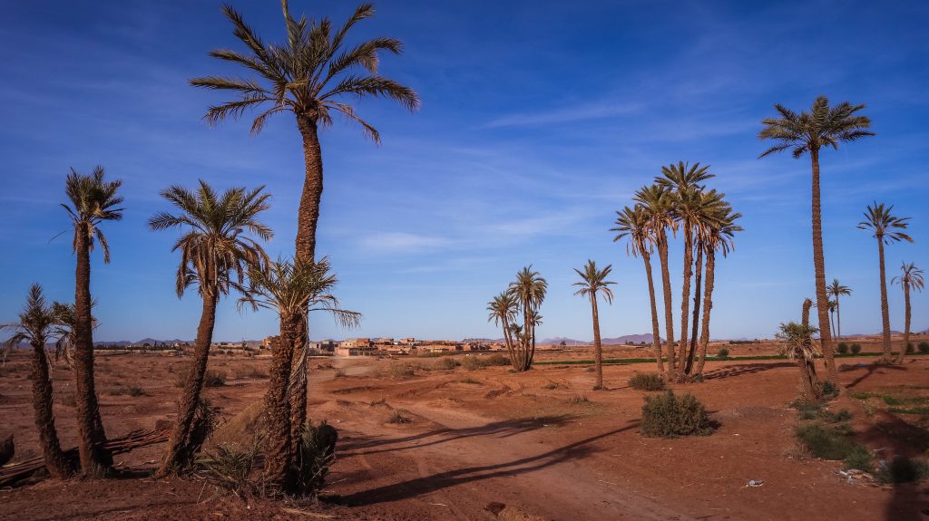 Palmeraie de Marrakech