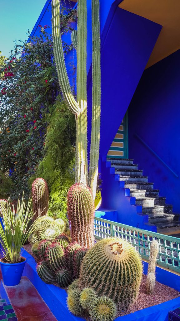 Villa Majorelle avec cactus