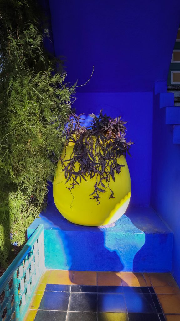 pot jaune sur fond bleu