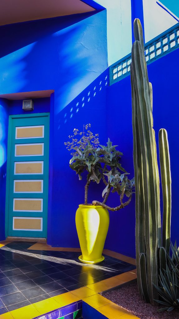 pot jaune, cactus et porte bleue