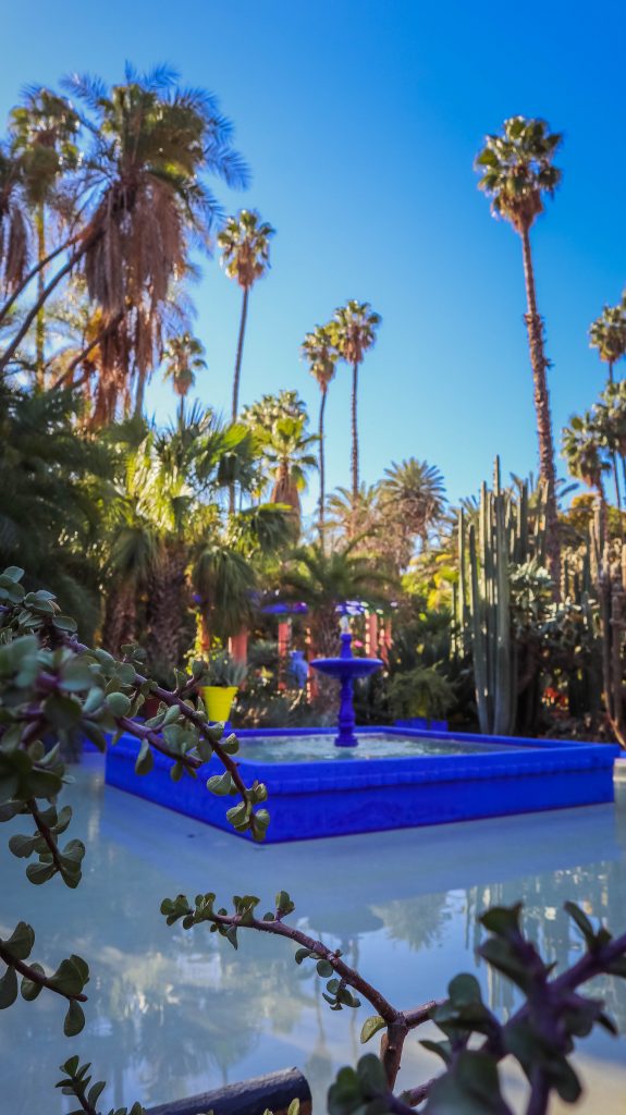 fontaine bleue et palmiers