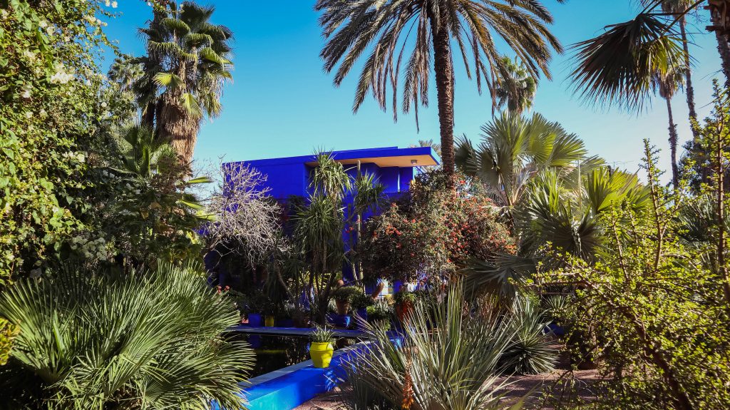 Maison bleue et plantes du Jardin Majorelle
