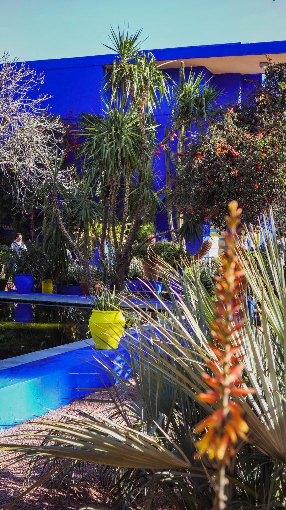 Maison bleue et plantes du Jardin Majorelle