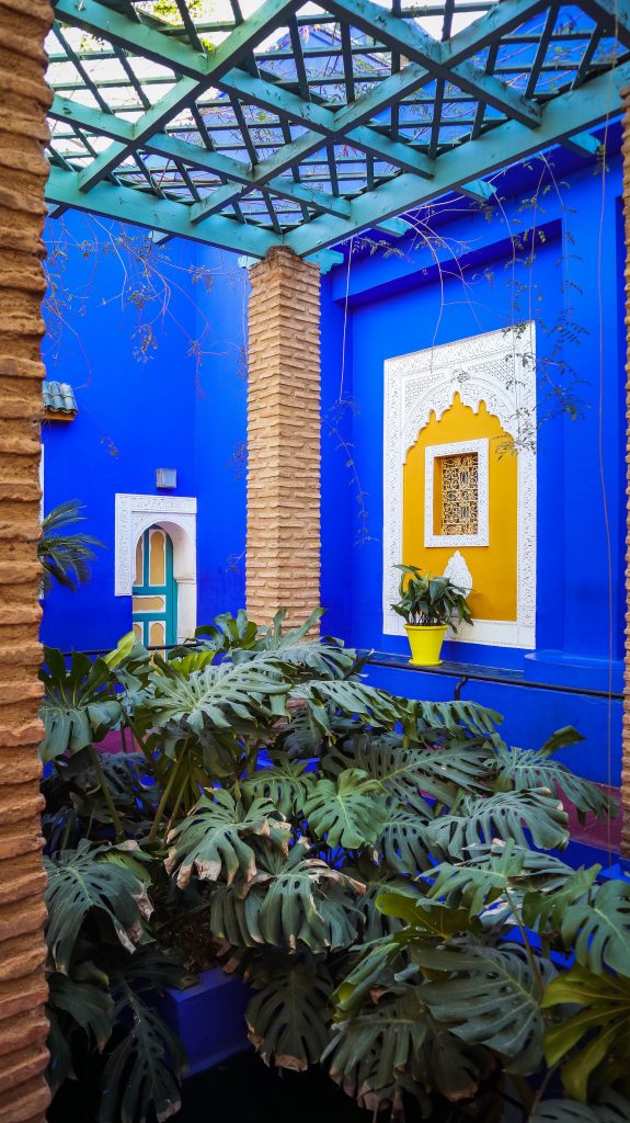 plantes et patio bleu majorelle