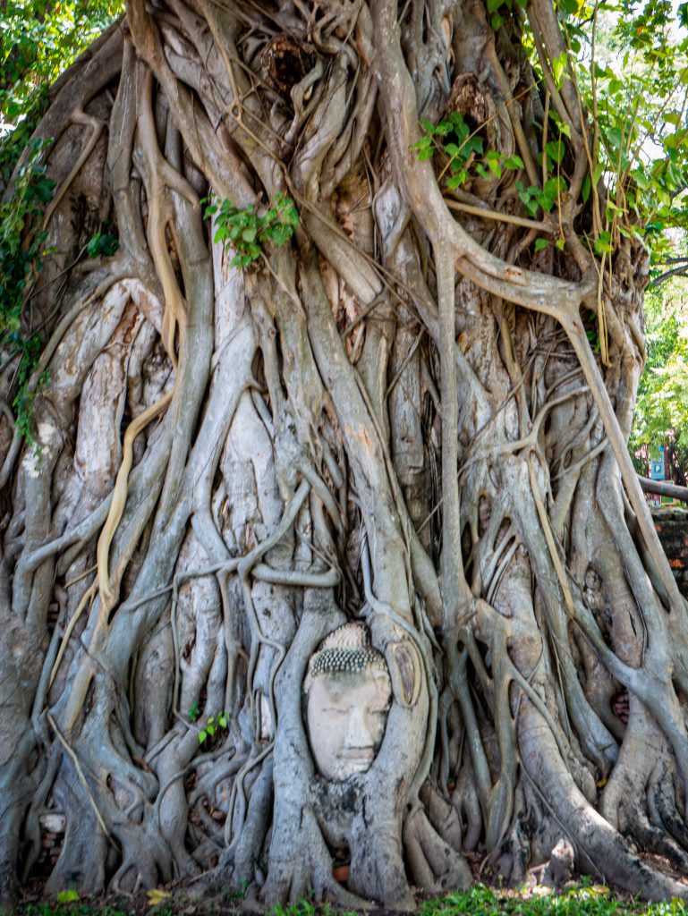 Wat Mahathat Temple Ayutthaya 