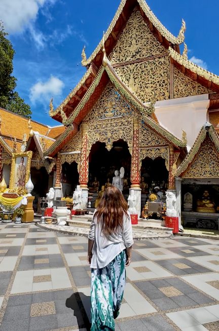 Quel sanctuaire d’éléphants éthique visiter à Chiang Mai ?