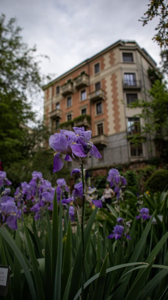 Jardin botanique de Brera, Milan