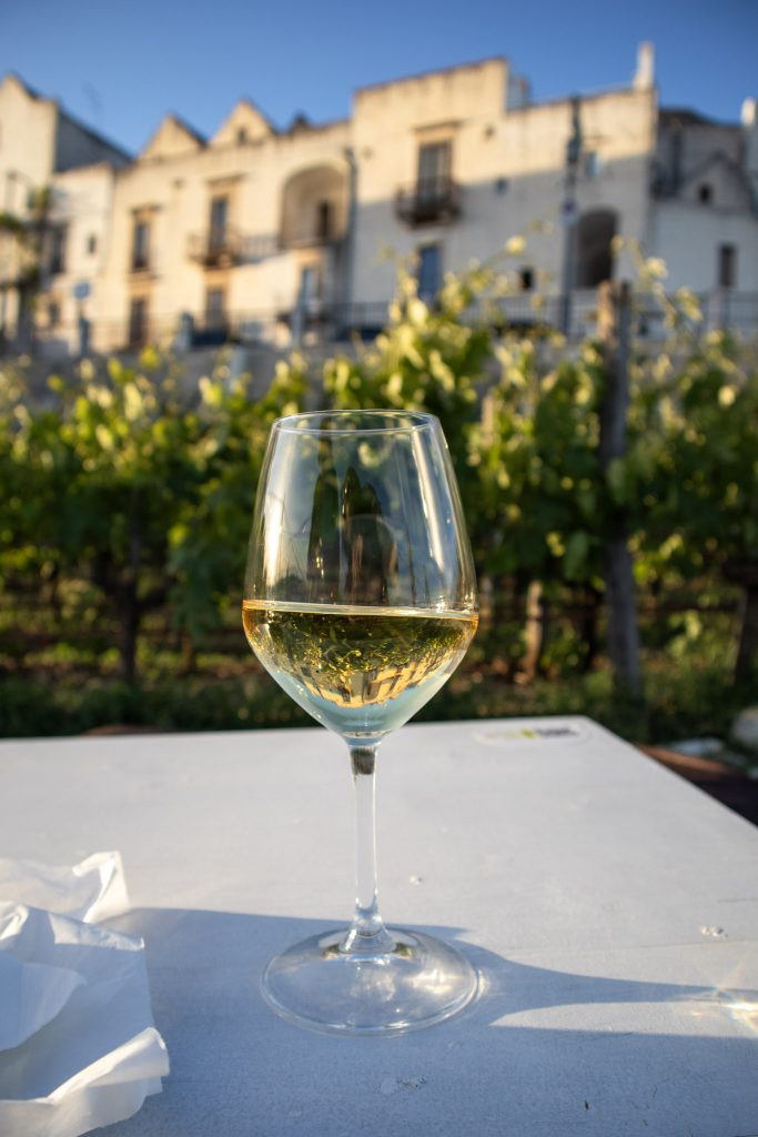 verre de vin au milieu des vignes au coucher du soleil chez Sirose, Azienda Agricola Bufano, Locorotondo, Pouilles, Italie