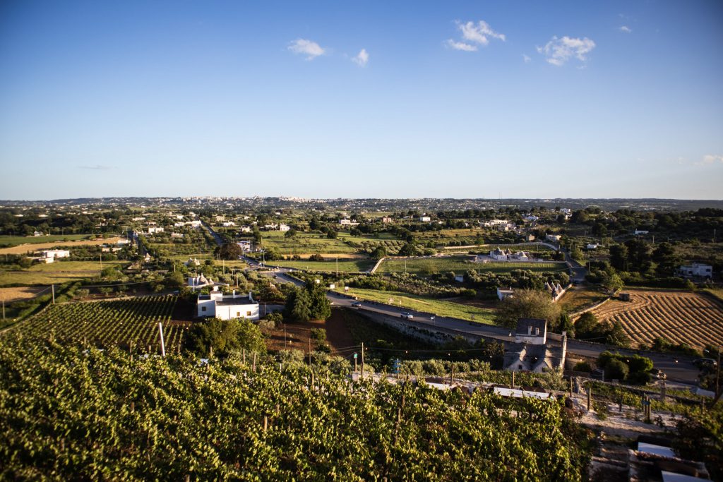 vue sur la vallée d’Itria depuis le Punto Panoramico / Belvedere de Locorotondo, Pouilles, Italie